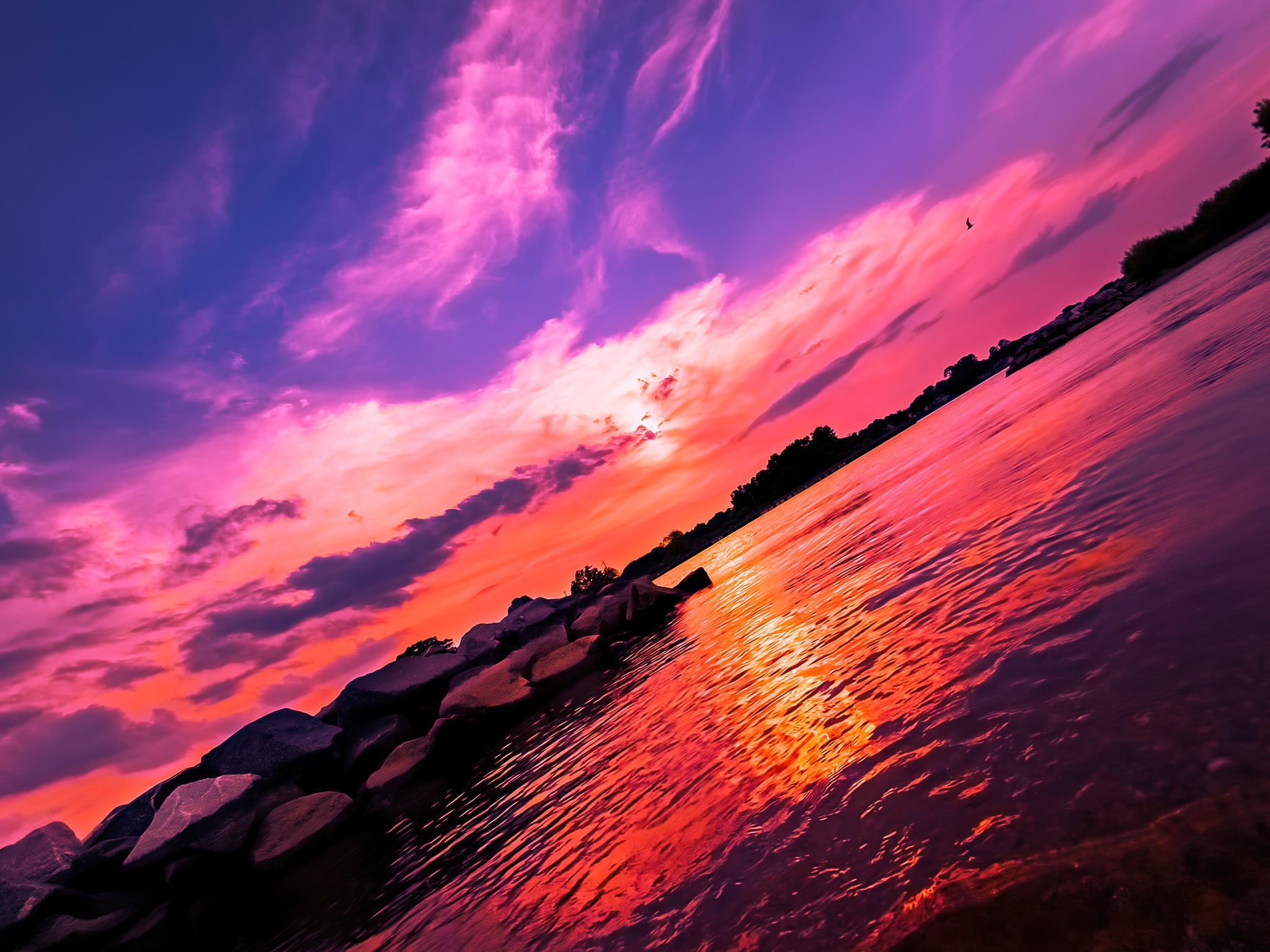 Angled view of a pink and orange sunset over water with rock barriers, cloud reflections, and a bird in the sky.