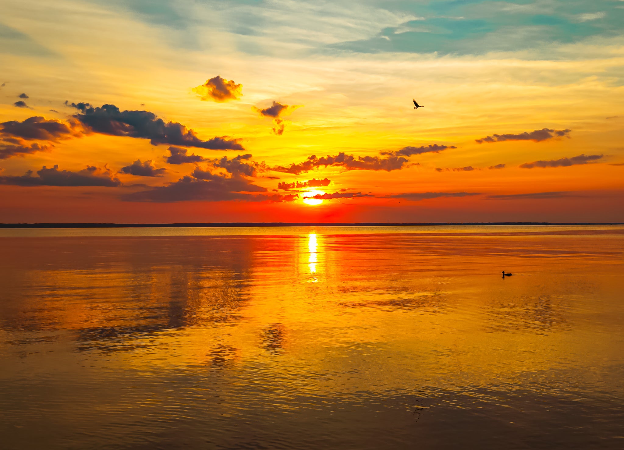 Sunset over a body of water with a bird flying in the sky.